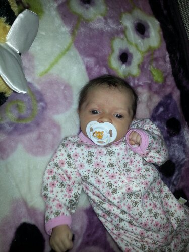 20121225_210616.jpg image