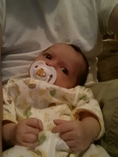 20121227_082434.jpg image