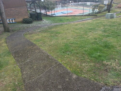 wp-1359224268085.jpg image