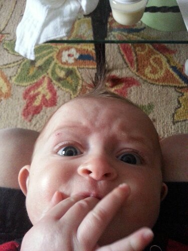 20130326_110947.jpg image