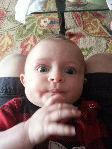 20130326_111004.jpg image